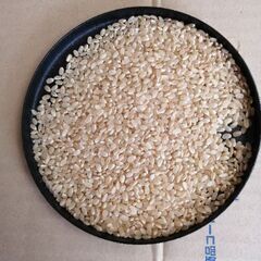 令和三年産　徳島県産コシヒカリ⑦　玄米30kg
