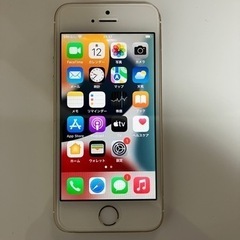 【ネット決済・配送可】iPhone  SE  初代