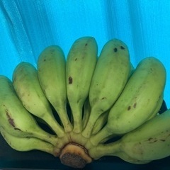 島バナナ　無農薬