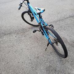 Panasonic BE-ELH42V Panasonic BE-ELH42V [電動アシスト自転車 ハリヤ