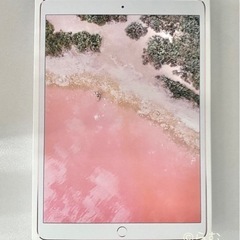 【箱のみ】iPadPro10.5インチ　ピンクゴールド　箱【第２世代】