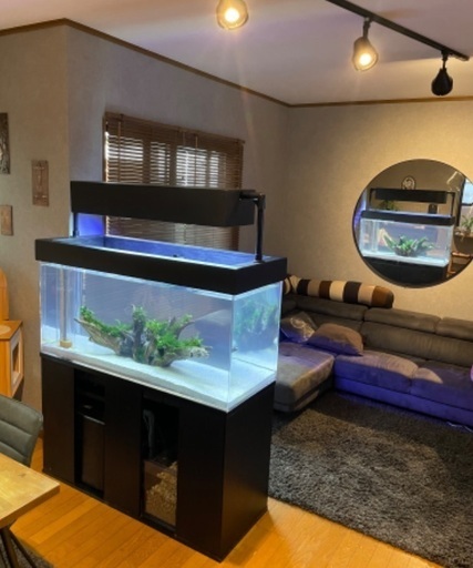 美品) カスタム水槽フルセット! アクアリウム 淡水・海水両用 引き取り限定