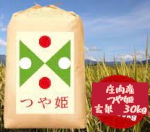 早い者勝ち R3年産 庄内産つや姫30kg 1袋 限定2袋 - sogorn.com.br