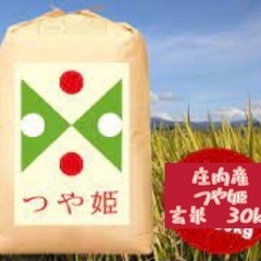 早い者勝ち　R3年産　庄内産つや姫30kg 1袋　限定2袋　