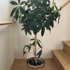 フェイク観葉植物(鉢カバー付)