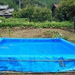 予約開始！【１日一家族貸し切り】鮎のつかみ取りプール貸し出し/愛知県岡崎市東部地域