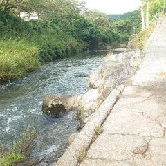予約開始！【１日一家族貸し切り】鮎のつかみ取りプール貸し出し/愛知県岡崎市東部地域