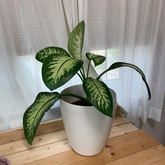 植木鉢カバー