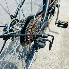 丸石サイクル(MARUISHI） 電動アシスト自転車 ビュー