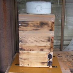 日本ミツバチ　近県配達無料　　美味しい蜂蜜をご自宅で！