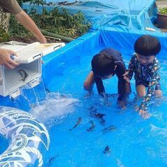 予約開始！【１日一家族貸し切り】鮎のつかみ取りプール貸し出し/愛知県岡崎市東部地域