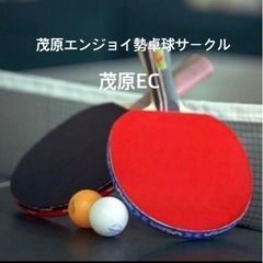 茂原エンジョイ勢卓球サークル