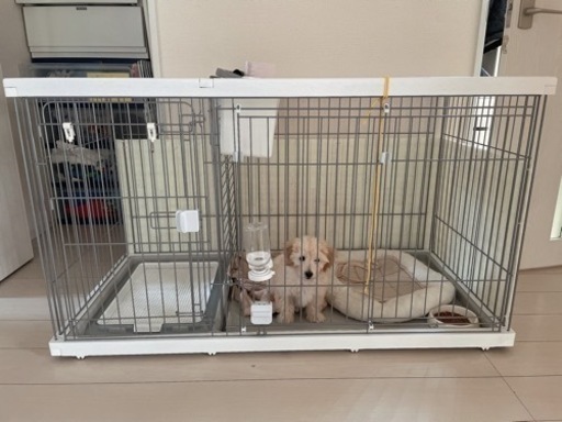 犬トイレ仕切り付きケージ さくさく 名古屋の家具の中古あげます 譲ります ジモティーで不用品の処分