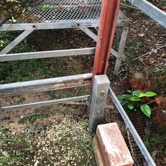 DIY好きな方に是非＼(^o^)／