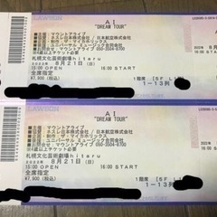 AI DREAM TOUR 札幌 チケット ２枚