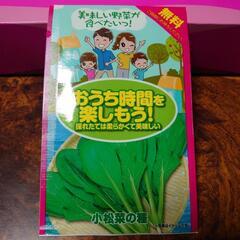 小松菜 種