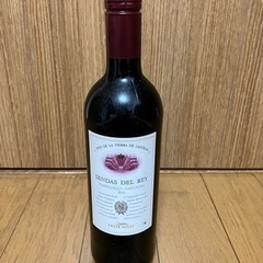 センダス　デル　レイ　赤ワイン　果実酒　750ml 2010