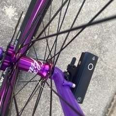 サーリー　カラテモンキー 