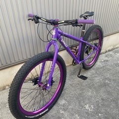 サーリー　カラテモンキー 