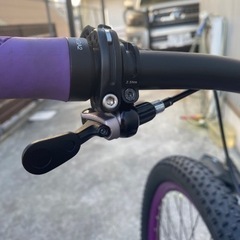 サーリー　カラテモンキー 