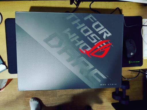 ASUS ゲーミングノートPC ROG Strix G17 G713IM【美品/中古