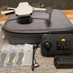 DJI ドローン Mavic Mini マビックミニ  DIPS...