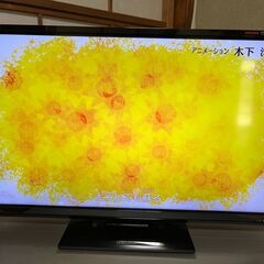 ORION 液晶テレビ