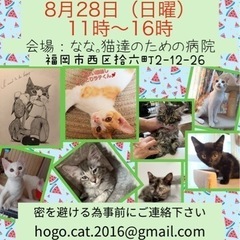 8/28 ねこ組🐾福岡中央譲渡会atなな。猫達のための病院