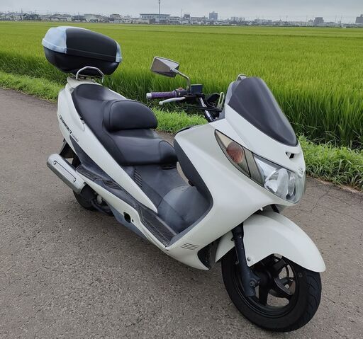【決まりました】　スカイウェブ250 TYPE-S 型式 CJ43A 少し難あり