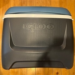 igloo MAX COLD 58L クーラーボックス