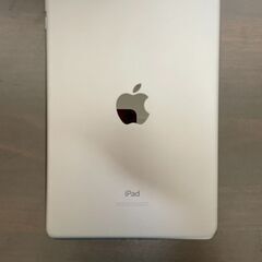iPad mini 第5世代（2019） 64GB Wi-Fiモデル スペースグレイ