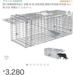 仔猫　捕獲器