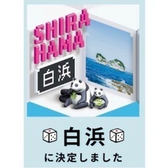 【即日発行可能】JRサイコロきっぷ 大阪市内ー白浜往復2名