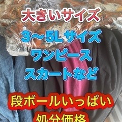 大きいサイズ　レディース　3〜5L 段ボールいっぱい　洋服