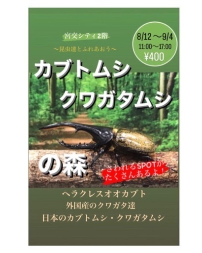 カブトムシ クワガタムシの森 Shima 宮崎のその他のイベント参加者募集 無料掲載の掲示板 ジモティー