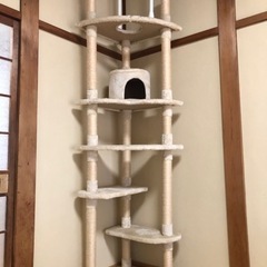 アイリスオーヤマ 突っ張り式キャットタワー