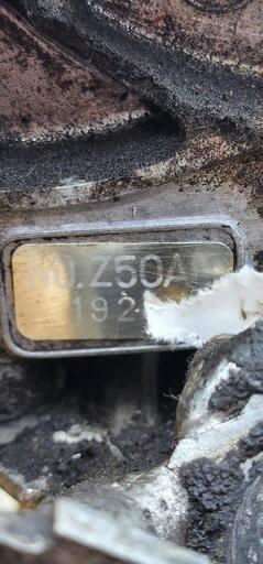 【希少】リジットモンキー　エンジンZ50AE 希少】リジットモンキー エンジンZ50AE