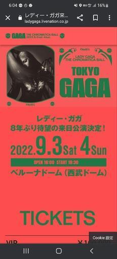 レディガガ LADYGAGA 埼玉 ベルーナドーム 【公式通販】