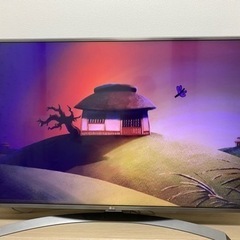 LG 液晶テレビ 49インチ 49UJ6500 4K