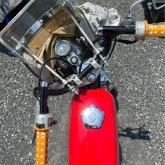 エイプ50 ヨンフォア仕様