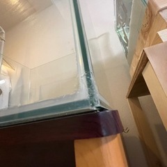 水槽一式セット 60センチワイド エーハイム2217付き