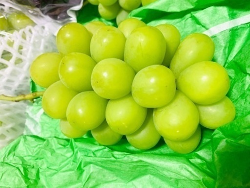 岡山県産葡萄!!とれたて!!ハウスシャインマスカット www