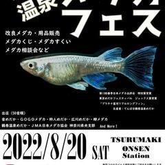 ８月２０日鶴巻温泉ぷちメダカフェス