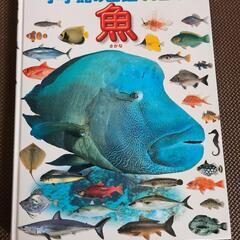 小学館の図鑑NEO 魚