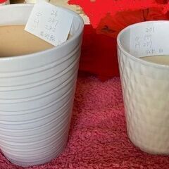 【配送可】美しい白い陶器製の植木鉢３点セットで 1,000円 - 売ります・あげます