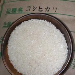 激安！無洗米！コシヒカリ白米8.9キロ 阿東米 