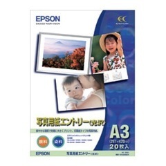 EPSON 写真用紙エントリー 光沢 A3 19枚入り K…