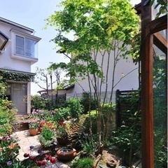 【大阪】お庭の水やり自動化しませんか？