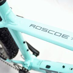 TREK 「トレック」 ROSCOE7 2021年モデル マウンテンバイク 5022080500101