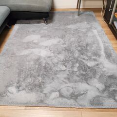 アクセントラグ (Nitori Floor mat)